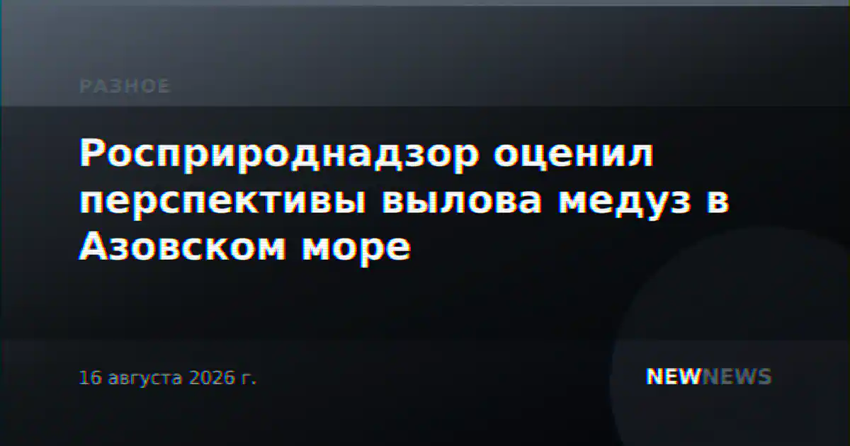 Росприроднадзор оценил перспективы вылова медуз в Азовском море