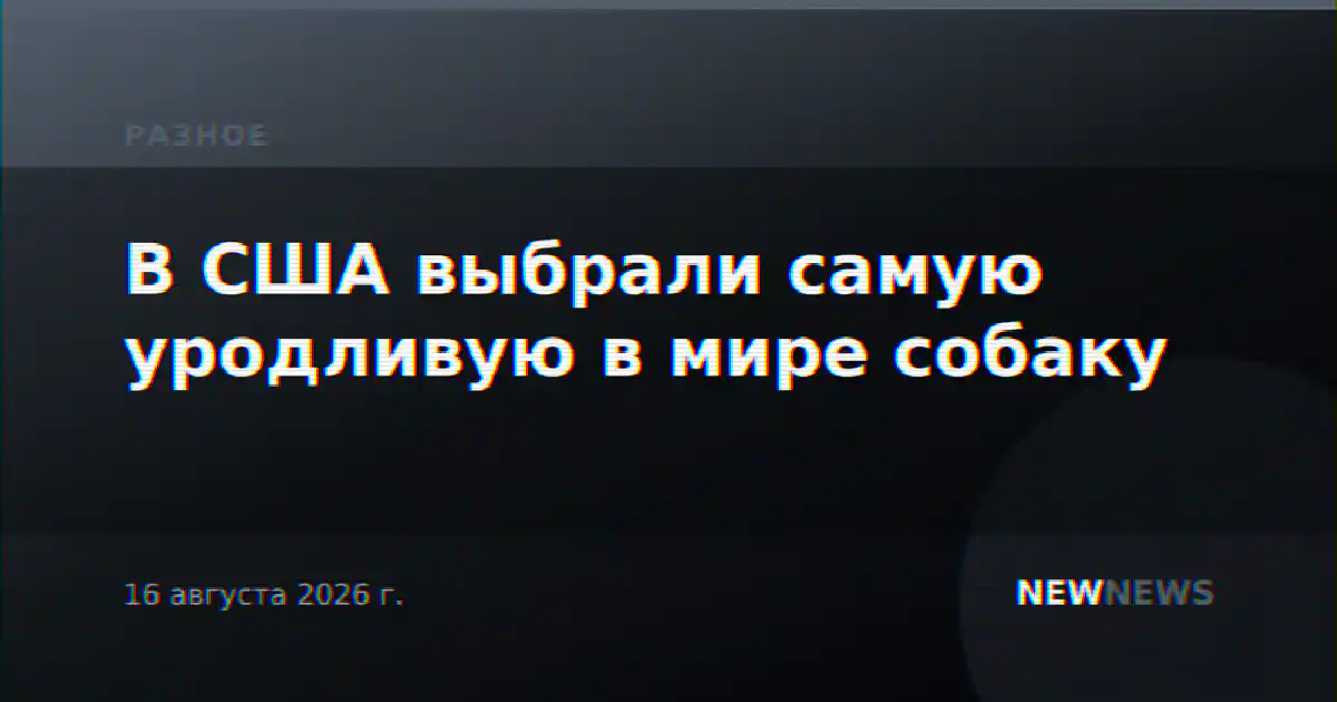 В США выбрали самую уродливую в мире собаку
