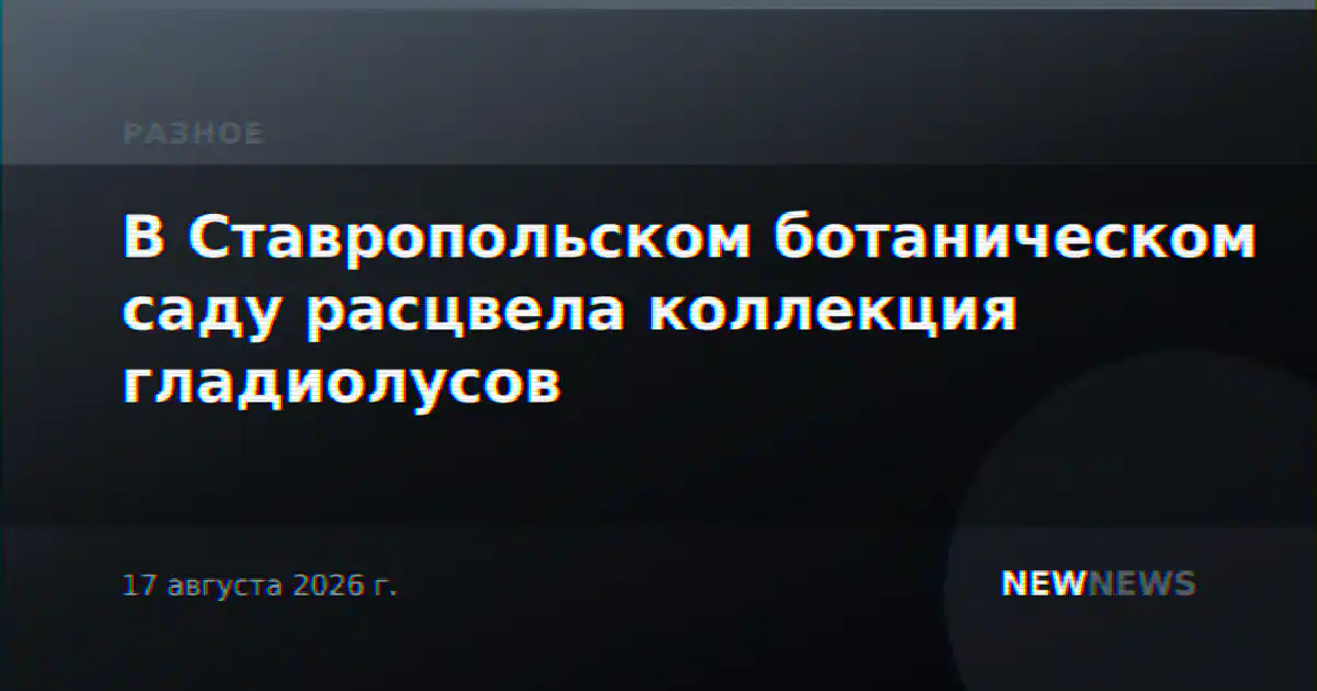 В Ставропольском ботаническом саду расцвела коллекция гладиолусов