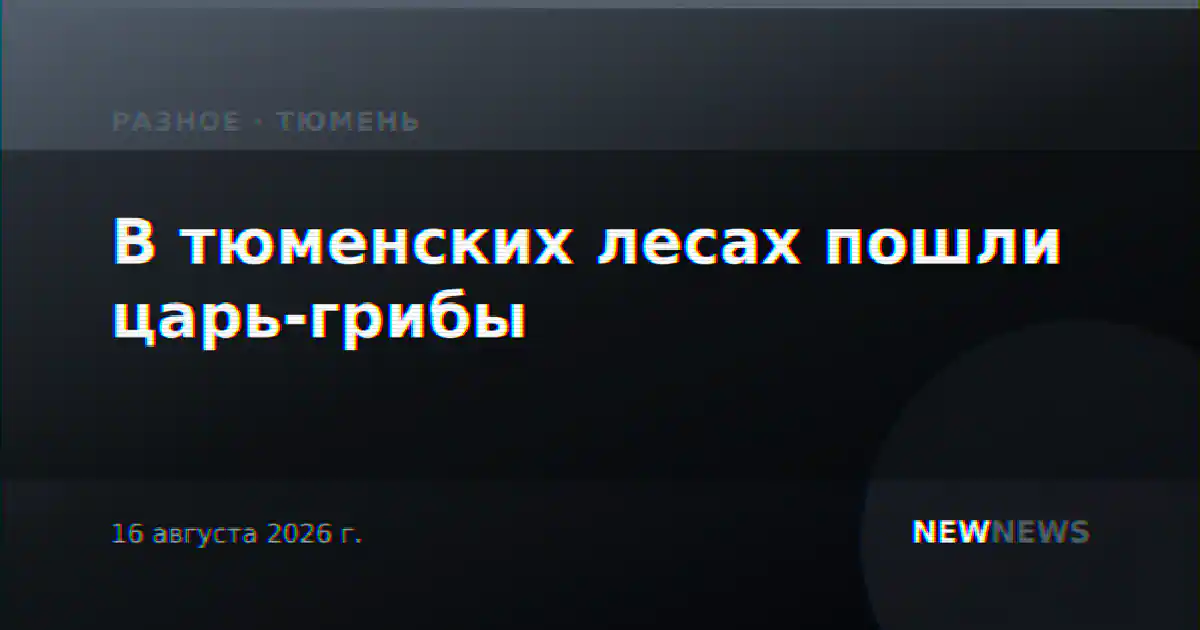 В тюменских лесах пошли царь-грибы