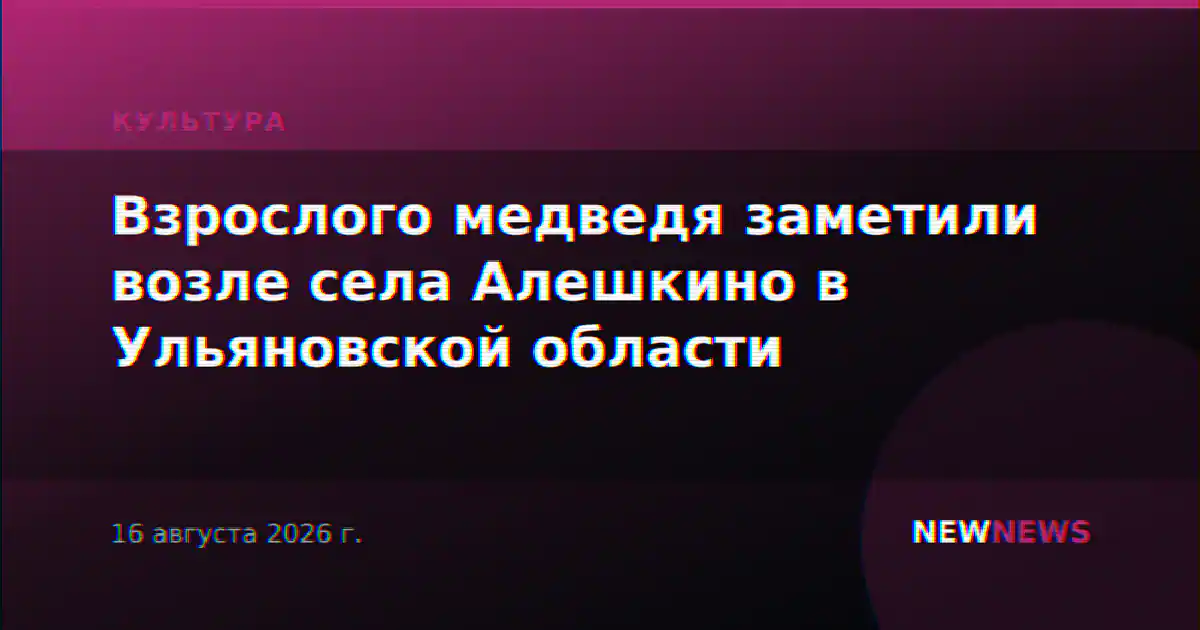 Взрослого медведя заметили возле села Алешкино в Ульяновской области