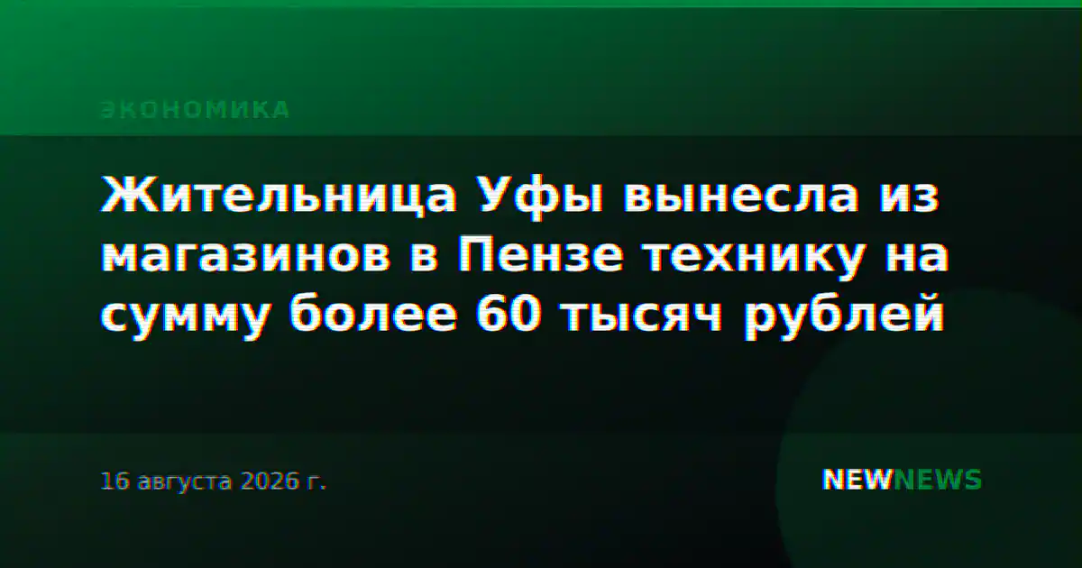 Жительница Уфы вынесла из магазинов в Пензе технику на сумму более 60 тысяч рублей