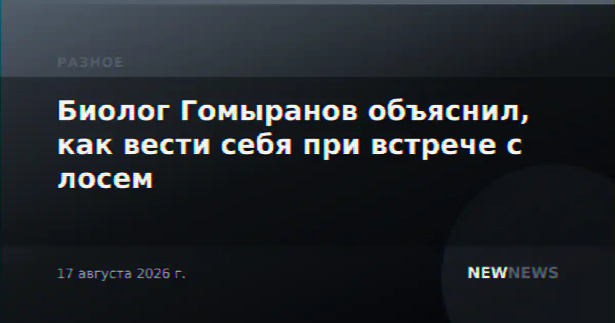 Биолог Гомыранов объяснил, как вести себя при встрече с лосем