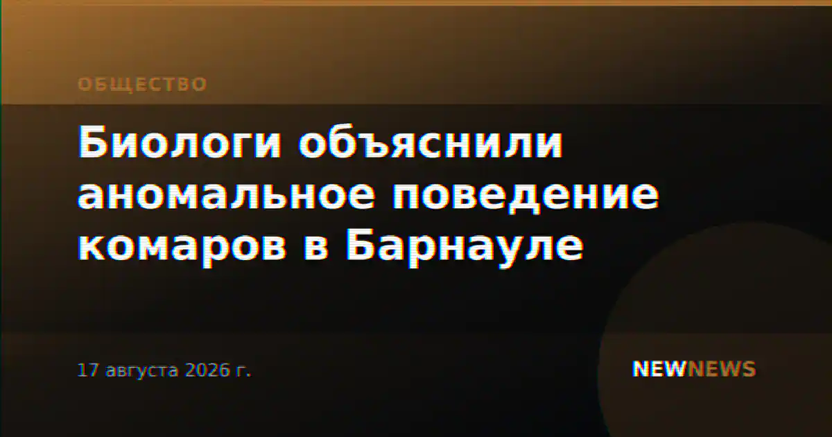 Биологи объяснили аномальное поведение комаров в Барнауле