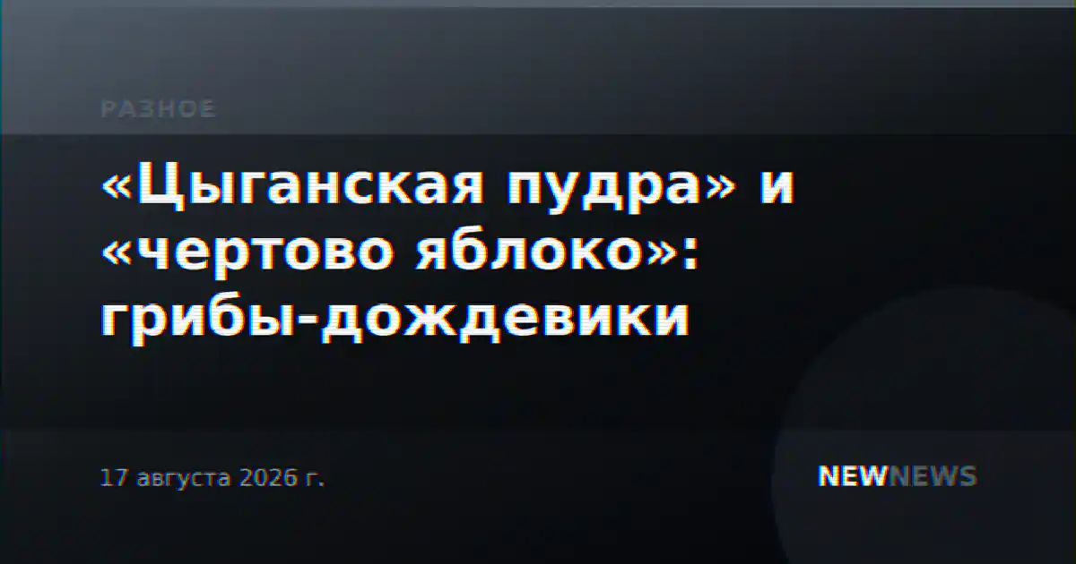 «Цыганская пудра» и «чертово яблоко»: грибы-дождевики