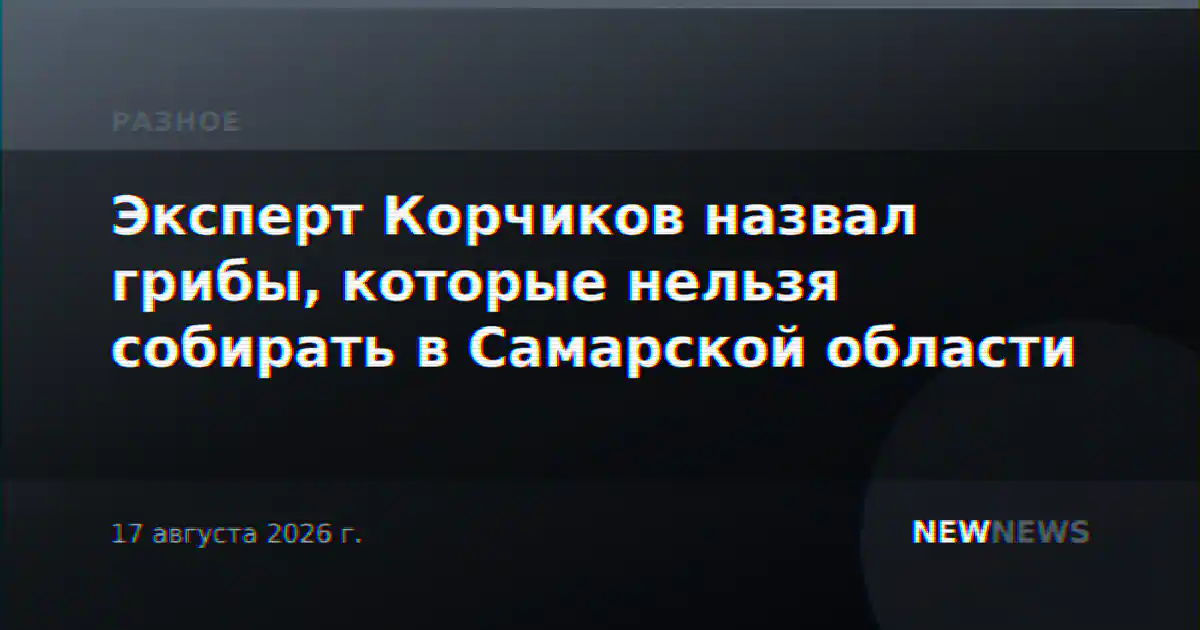 Эксперт Корчиков назвал грибы, которые нельзя собирать в Самарской области