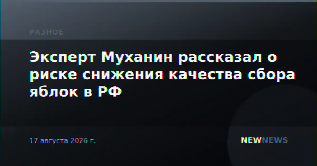 Эксперт Муханин рассказал о риске снижения качества сбора яблок в РФ