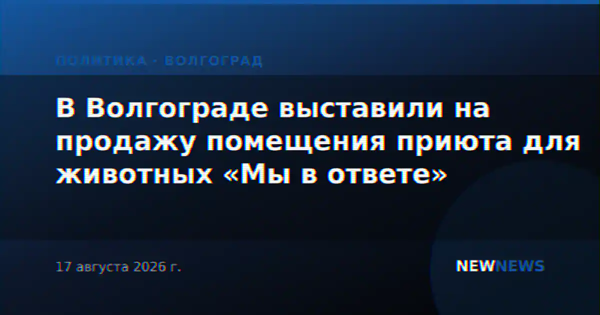В Волгограде выставили на продажу помещения приюта для животных «Мы в ответе»