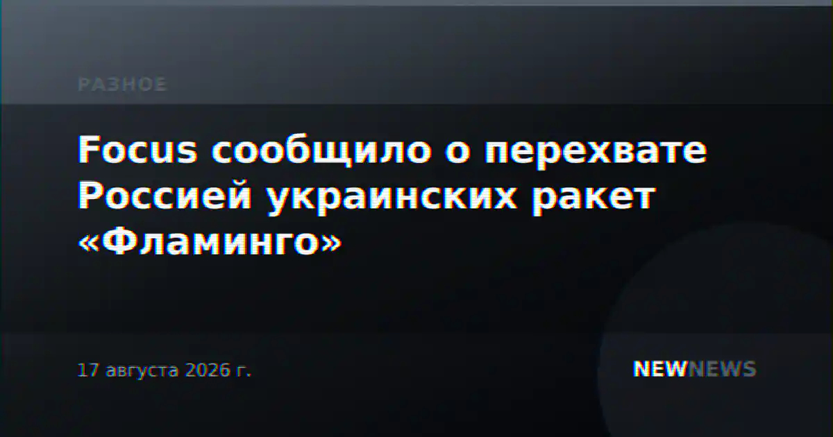 Focus сообщило о перехвате Россией украинских ракет «Фламинго»