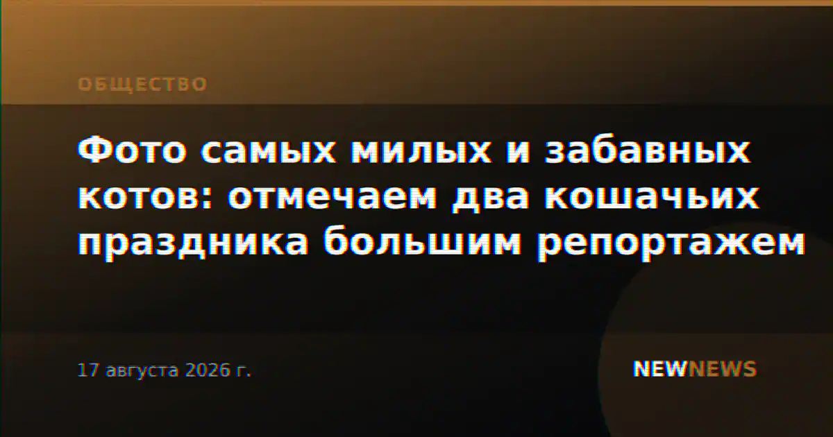 Фото самых милых и забавных котов: отмечаем два кошачьих праздника большим репортажем