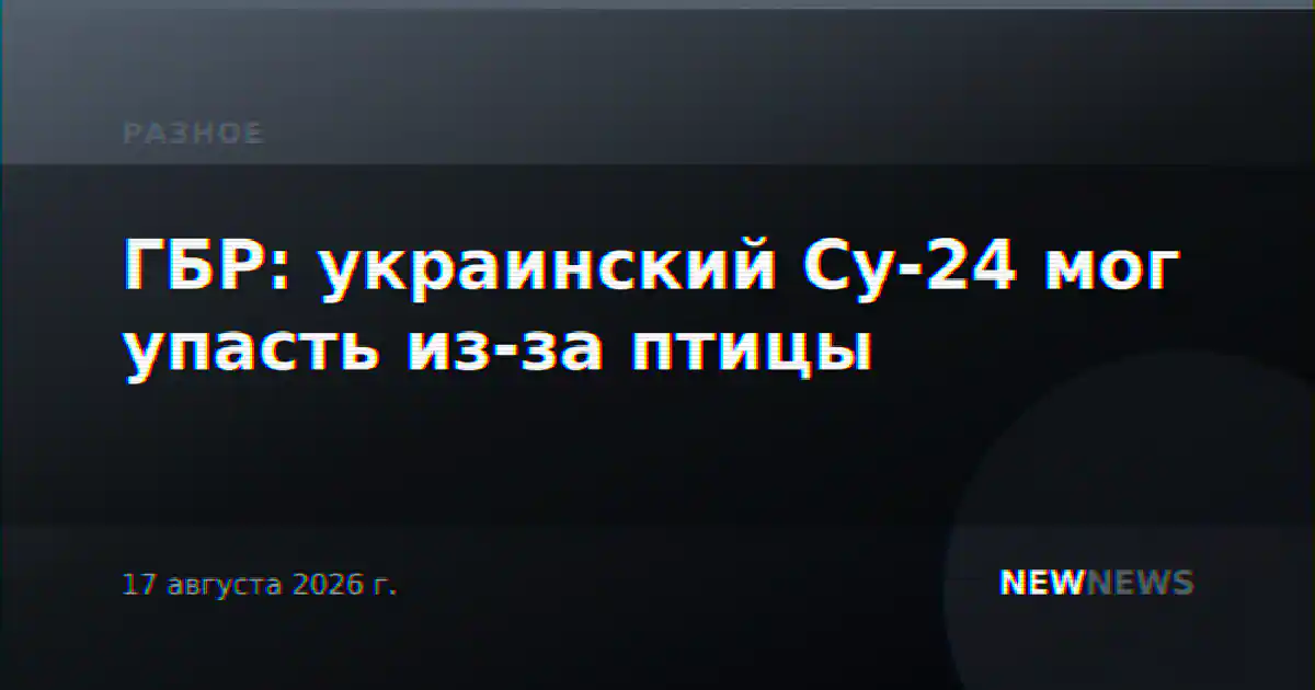ГБР: украинский Су-24 мог упасть из-за птицы