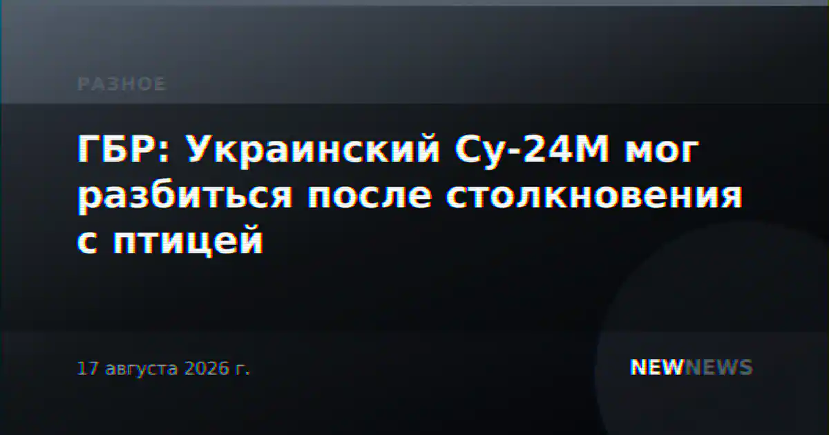ГБР: Украинский Су-24М мог разбиться после столкновения с птицей
