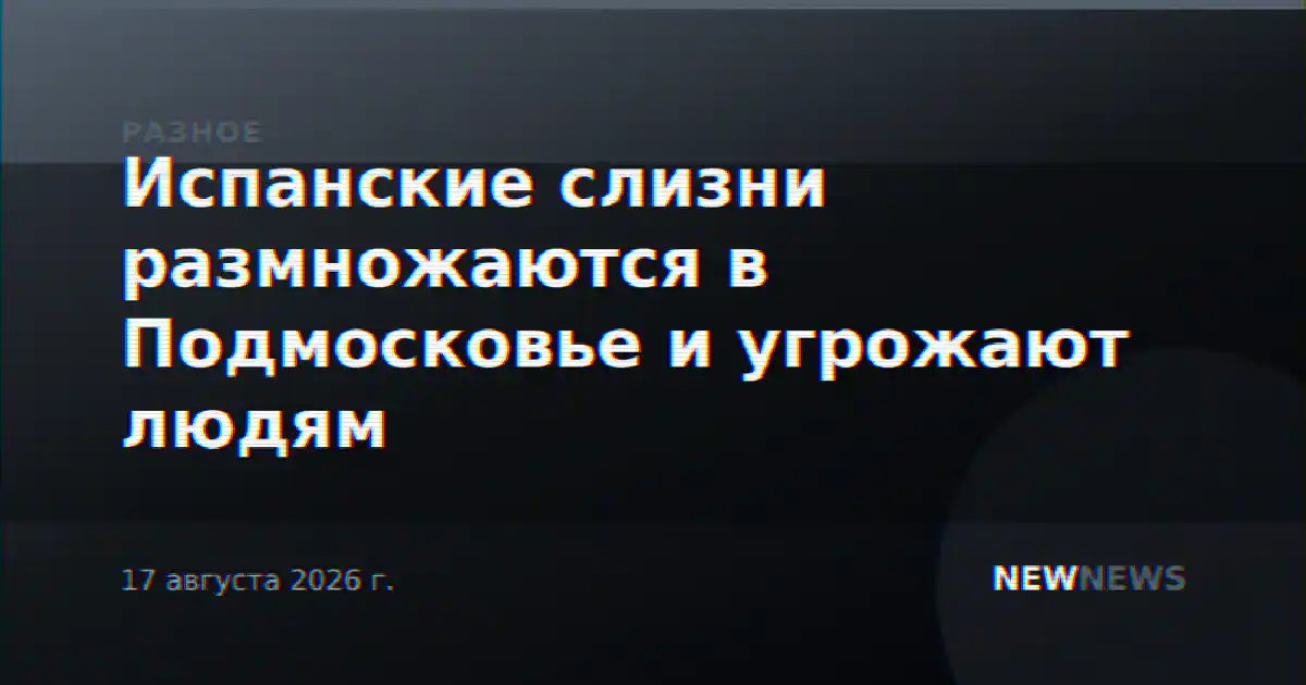 Испанские слизни размножаются в Подмосковье и угрожают людям