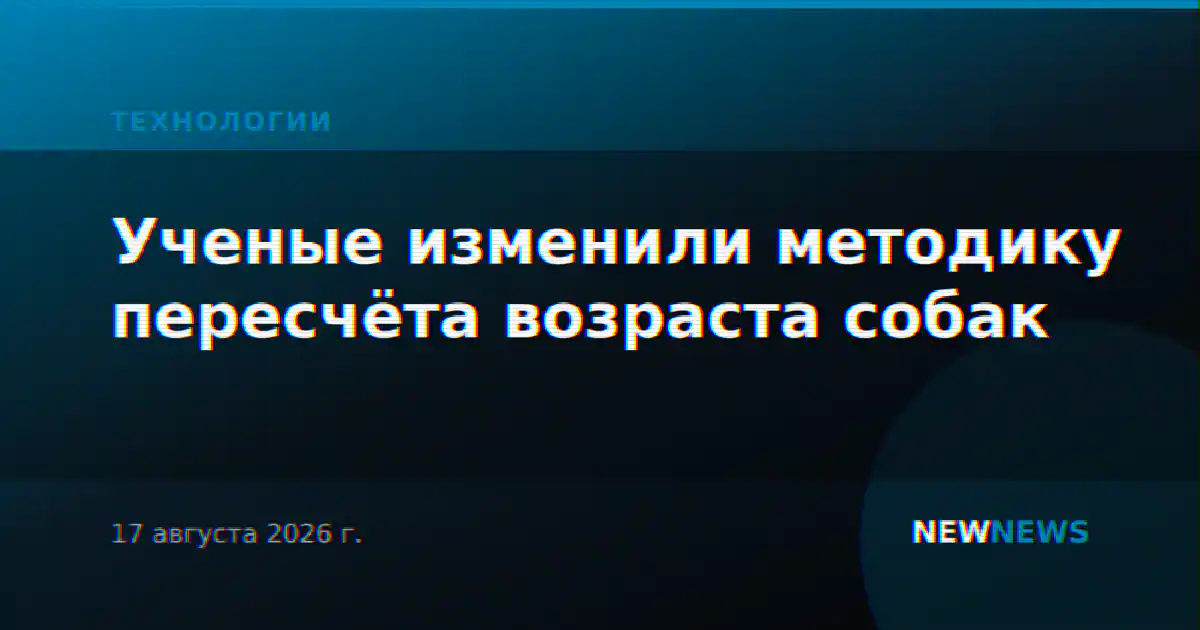 Ученые изменили методику пересчёта возраста собак
