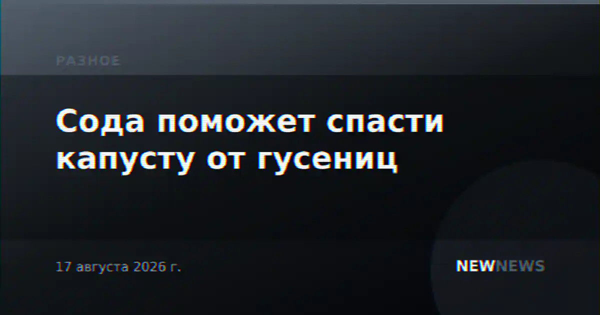 Сода поможет спасти капусту от гусениц