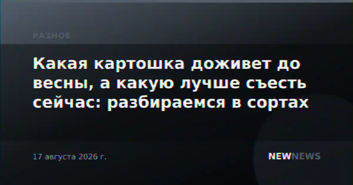 Какая картошка доживет до весны, а какую лучше съесть сейчас: разбираемся в сортах