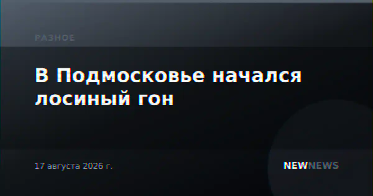 В Подмосковье начался лосиный гон