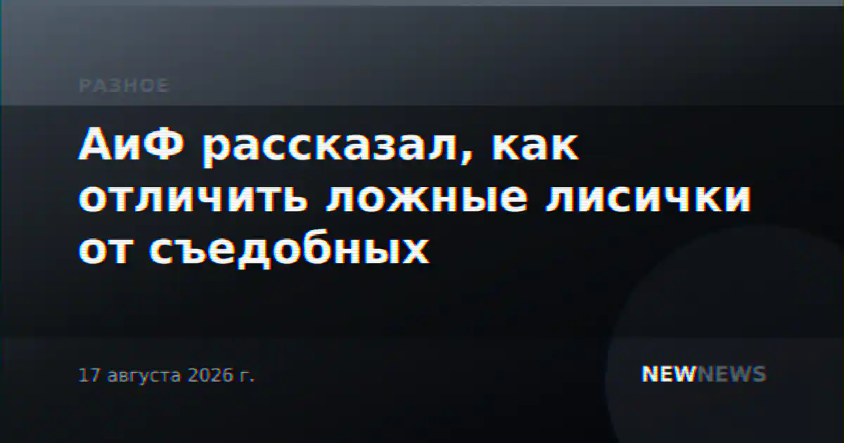 АиФ рассказал, как отличить ложные лисички от съедобных