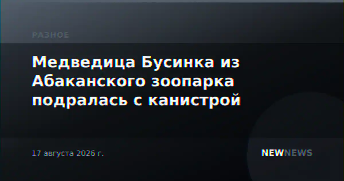 Медведица Бусинка из Абаканского зоопарка подралась с канистрой