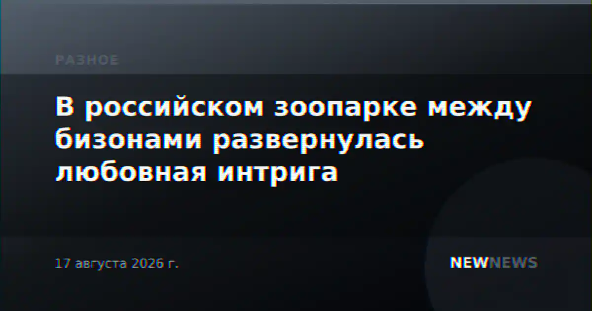 В российском зоопарке между бизонами развернулась любовная интрига
