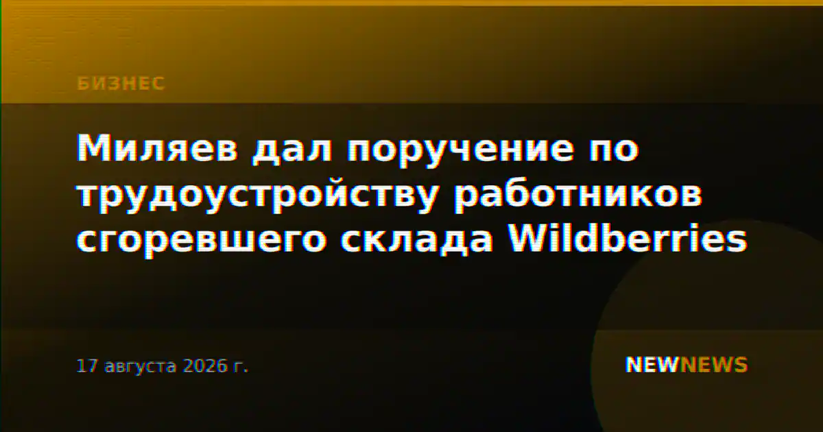Миляев дал поручение по трудоустройству работников сгоревшего склада Wildberries