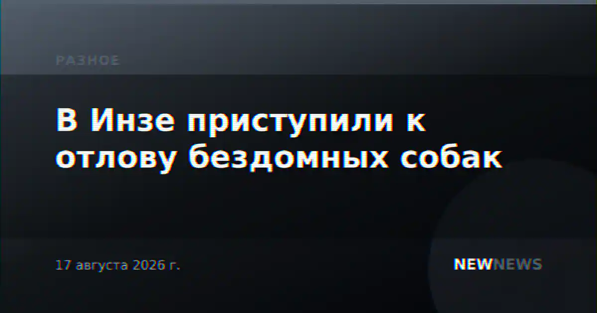 В Инзе приступили к отлову бездомных собак