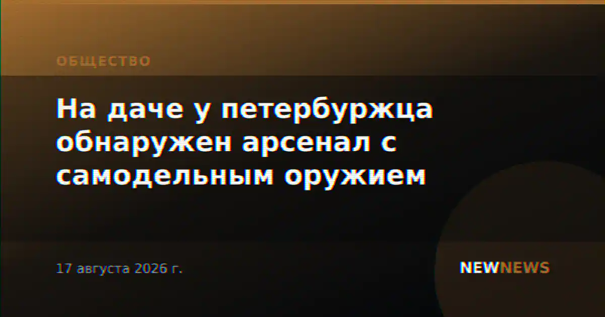 На даче у петербуржца обнаружен арсенал с самодельным оружием