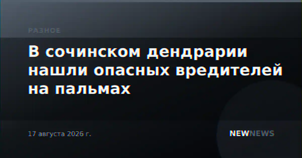 В сочинском дендрарии нашли опасных вредителей на пальмах