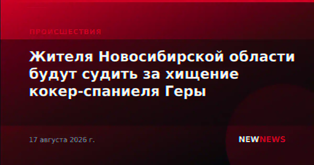 Жителя Новосибирской области будут судить за хищение кокер-спаниеля Геры