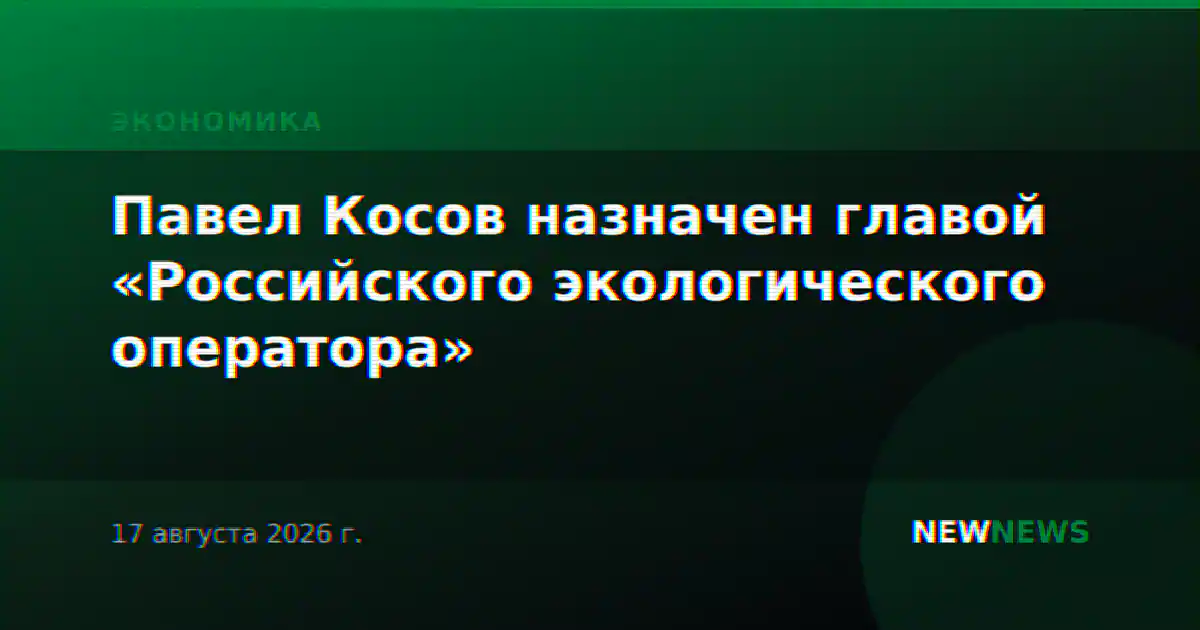 Павел Косов назначен главой «Российского экологического оператора»