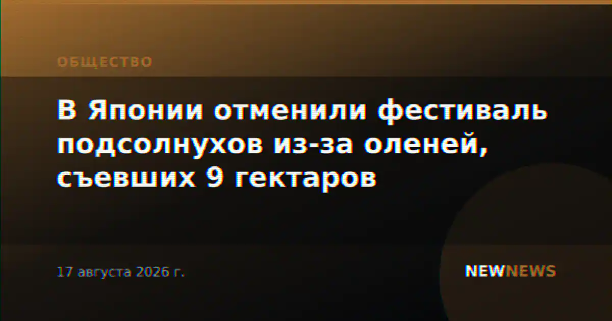 В Японии отменили фестиваль подсолнухов из-за оленей, съевших 9 гектаров