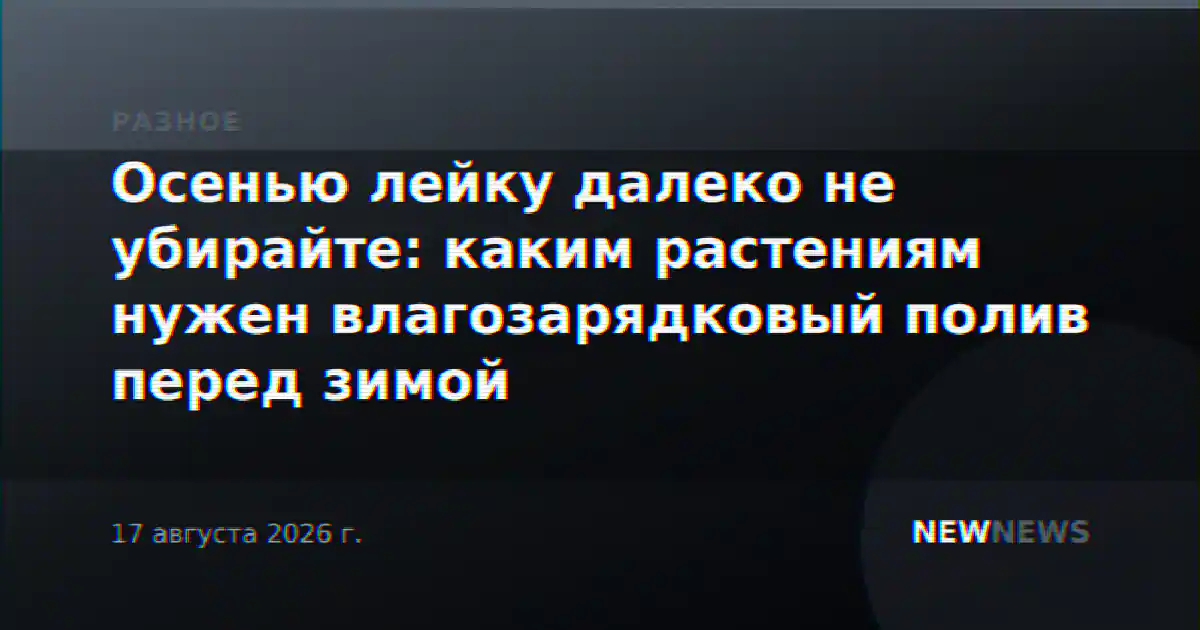 Осенью лейку далеко не убирайте: каким растениям нужен влагозарядковый полив перед зимой