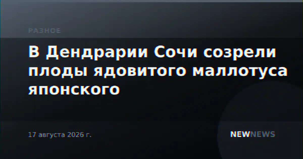 В Дендрарии Сочи созрели плоды ядовитого маллотуса японского