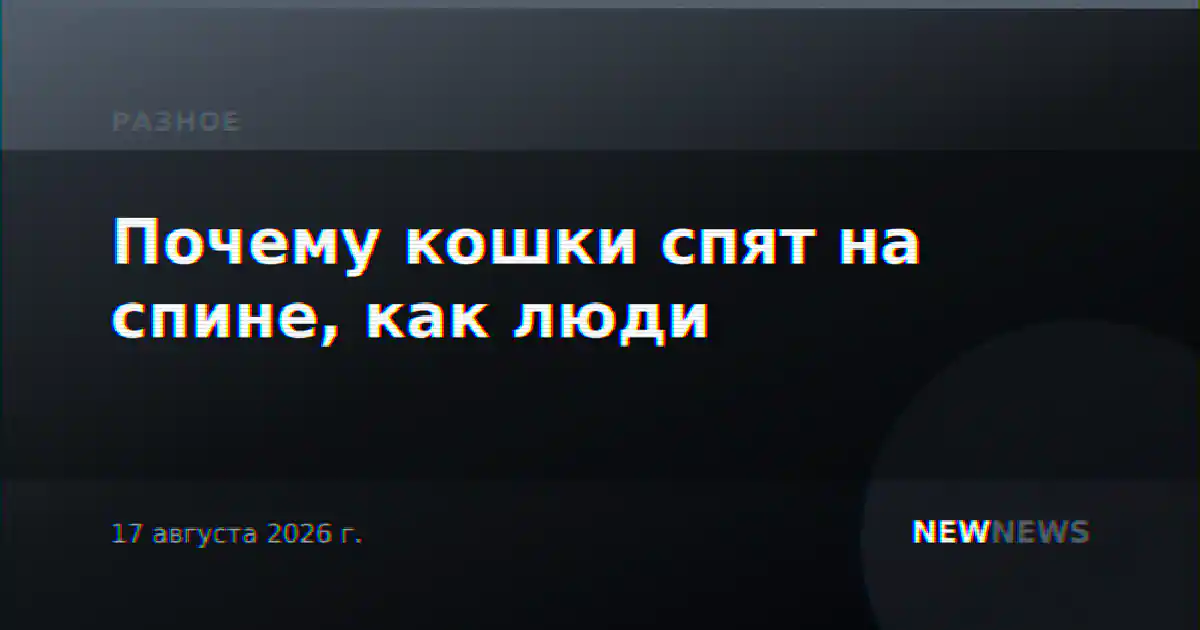 Почему кошки спят на спине, как люди