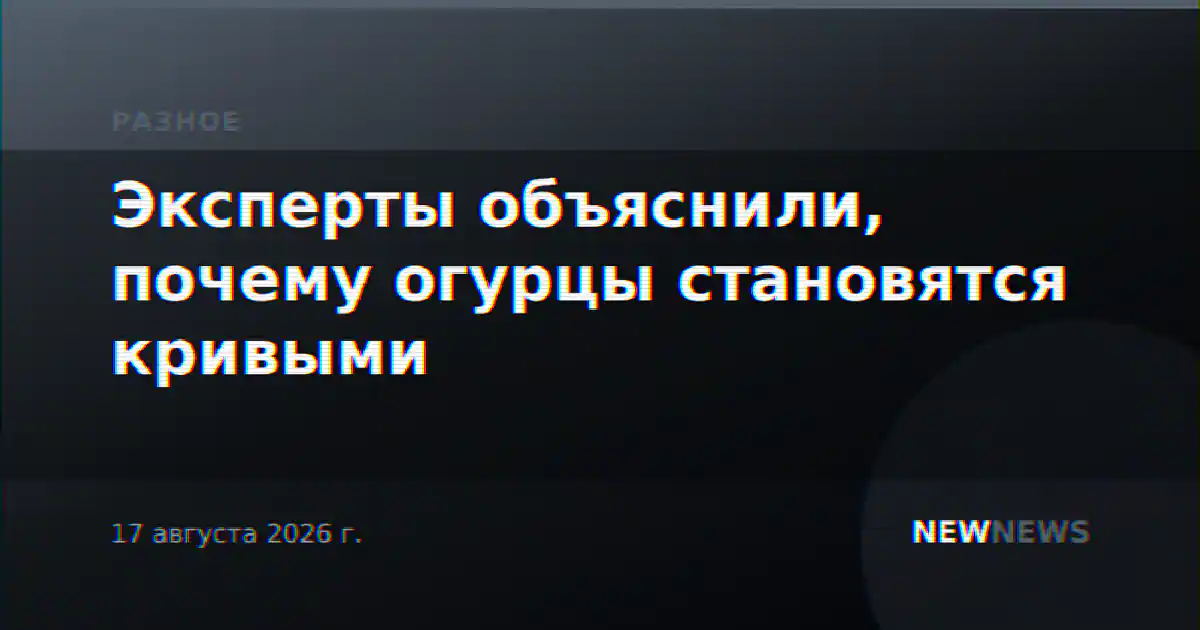 Эксперты объяснили, почему огурцы становятся кривыми