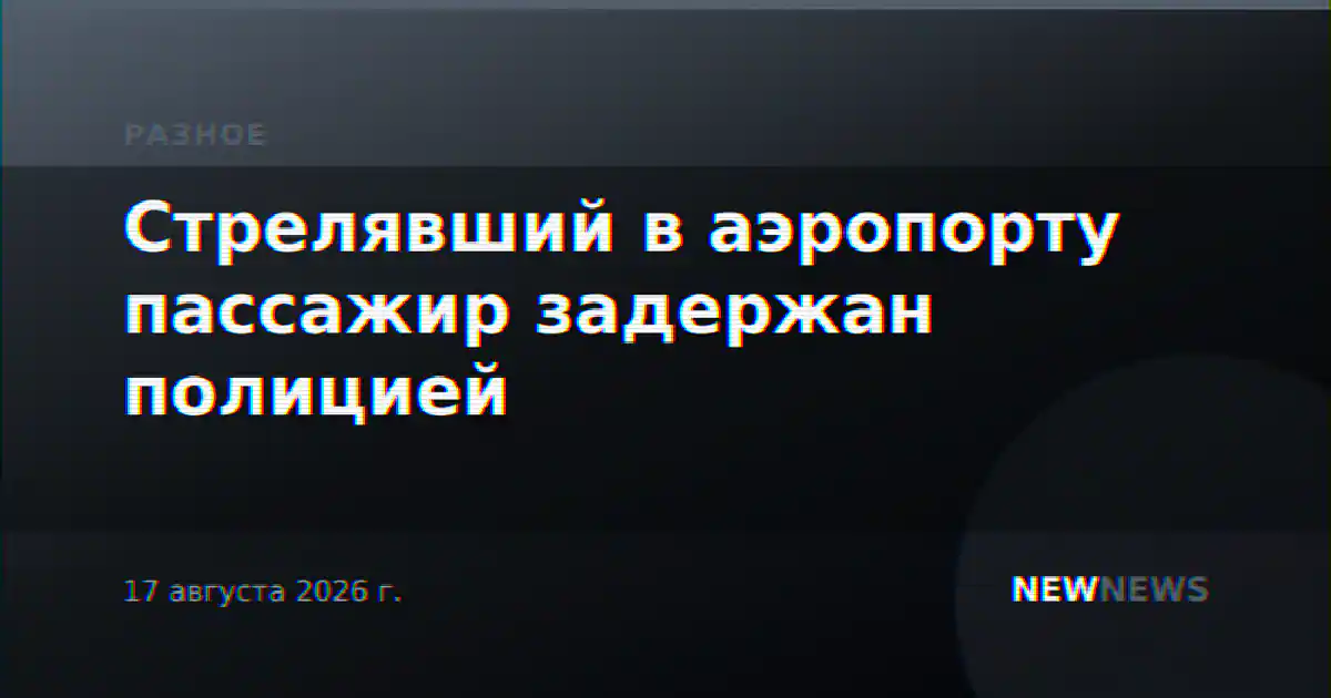 Стрелявший в аэропорту пассажир задержан полицией