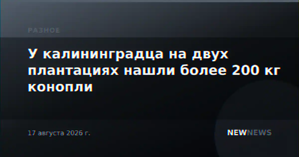 У калининградца на двух плантациях нашли более 200 кг конопли