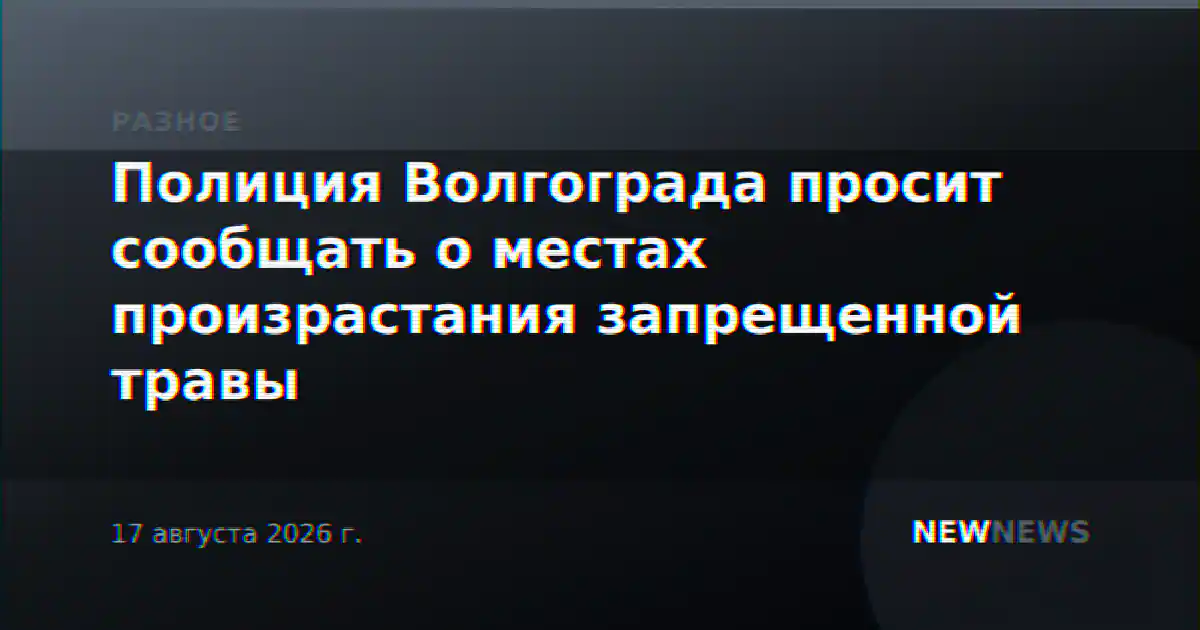 Полиция Волгограда просит сообщать о местах произрастания запрещенной травы