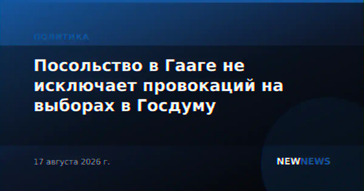Посольство в Гааге не исключает провокаций на выборах в Госдуму