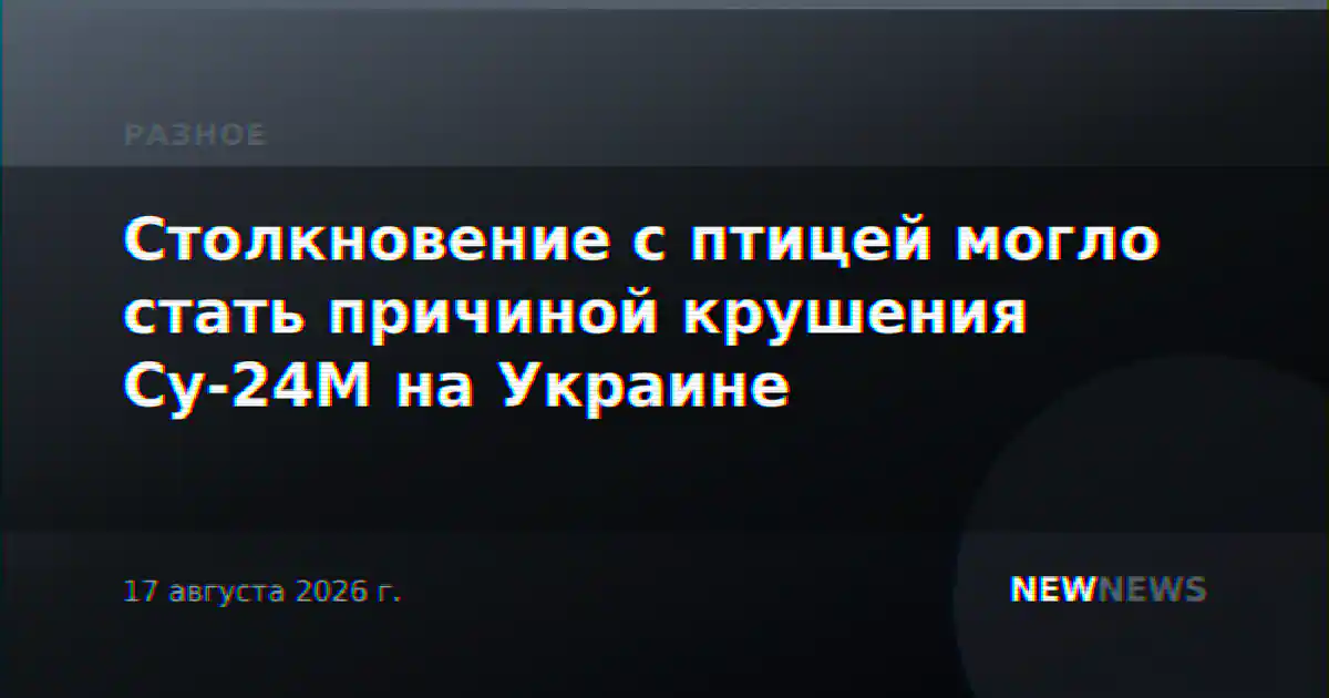 Столкновение с птицей могло стать причиной крушения Су-24М на Украине
