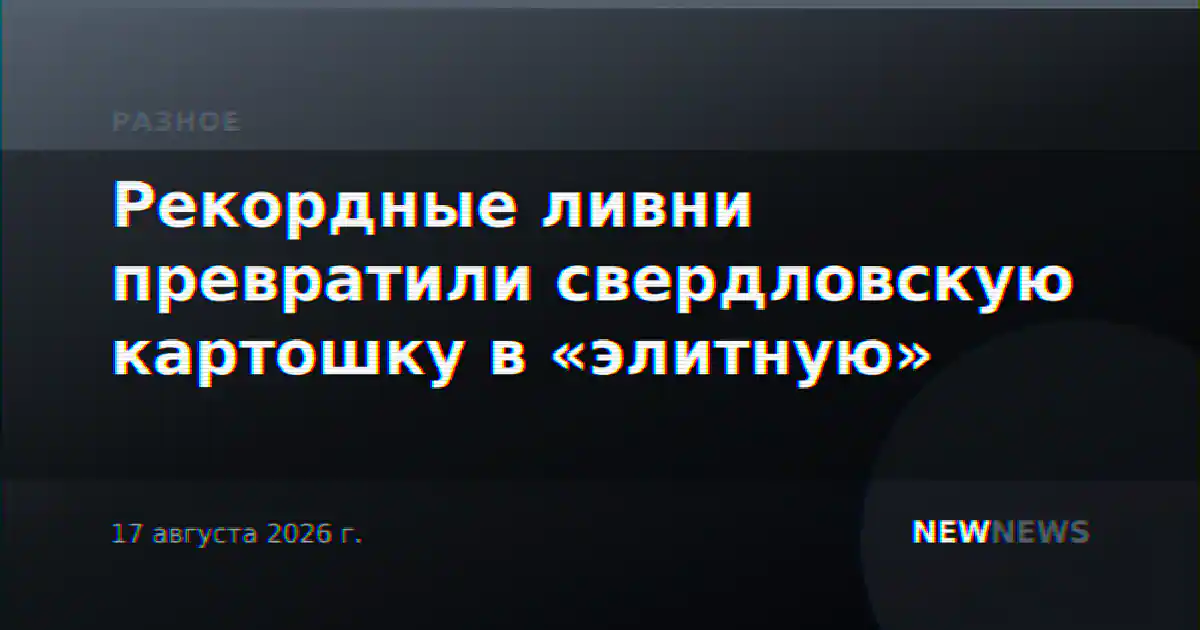 Рекордные ливни превратили свердловскую картошку в «элитную»
