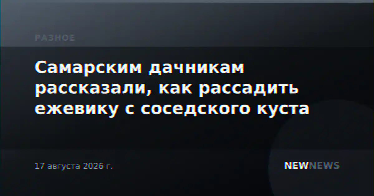 Самарским дачникам рассказали, как рассадить ежевику с соседского куста