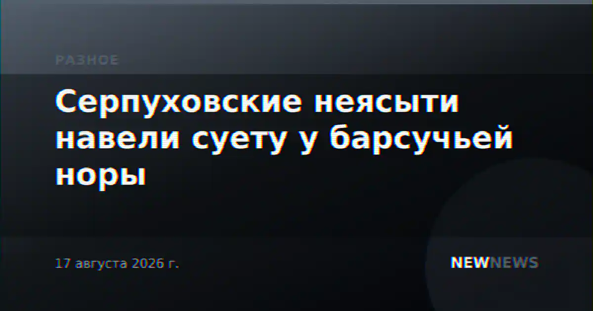 Серпуховские неясыти навели суету у барсучьей норы