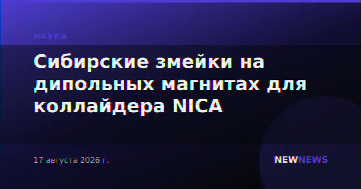 Сибирские змейки на дипольных магнитах для коллайдера NICA