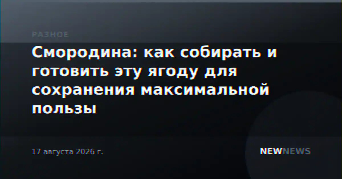 Смородина: как собирать и готовить эту ягоду для сохранения максимальной пользы
