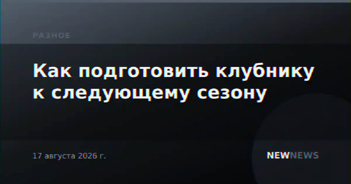 Как подготовить клубнику к следующему сезону