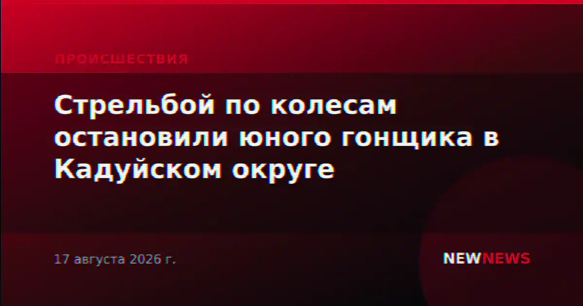 Стрельбой по колесам остановили юного гонщика в Кадуйском округе