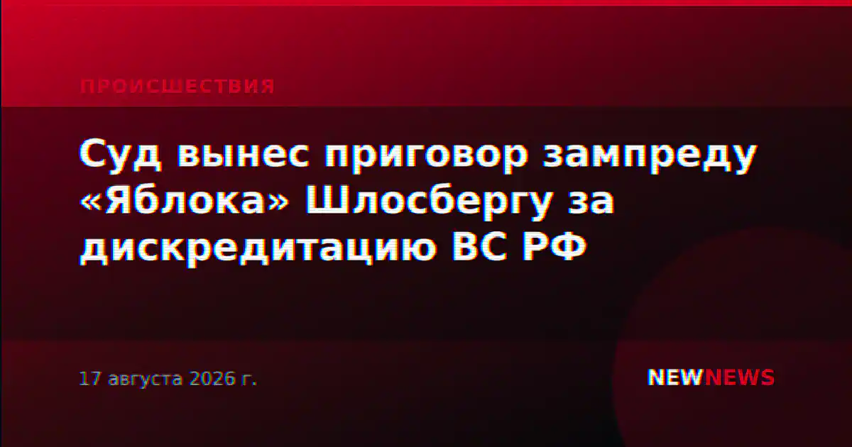 Суд вынес приговор зампреду «Яблока» Шлосбергу за дискредитацию ВС РФ