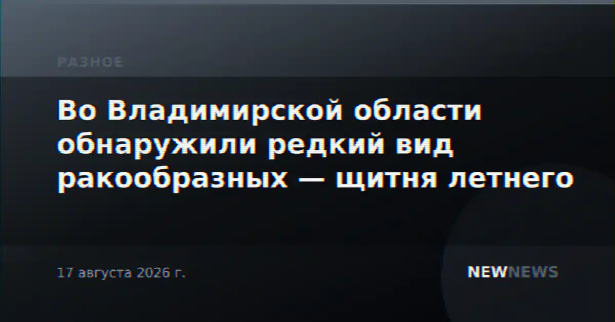 Во Владимирской области обнаружили редкий вид ракообразных — щитня летнего
