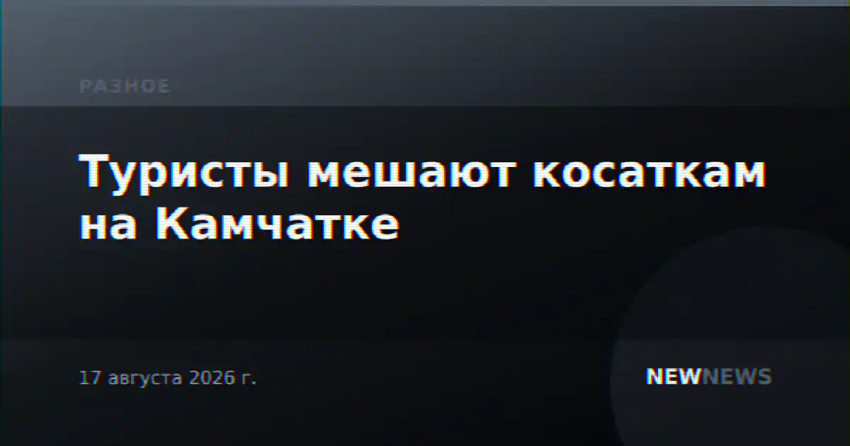 Туристы мешают косаткам на Камчатке